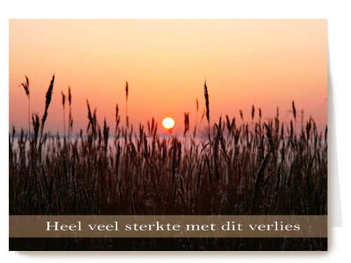 Sterkte met fotografisch ondergaande zon