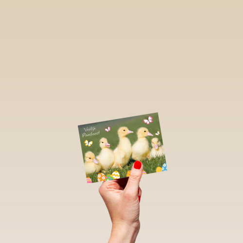 vrolijk passfeest eendjes kaart