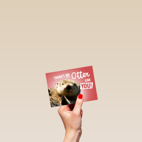 theres no otter like you