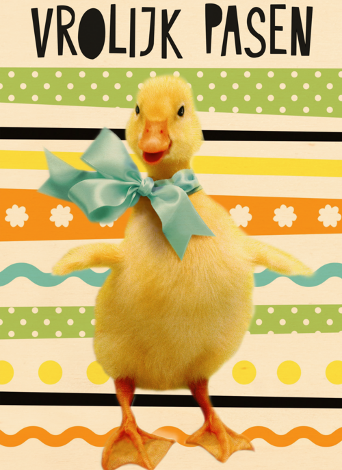 Houten Kaart Pasen | Hallmark | Houten Kaart Hallmark | Pasen | Vrolijk Paaskuiken