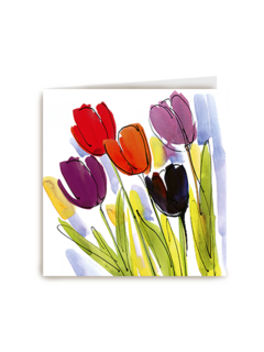 Chromazone Tulpen