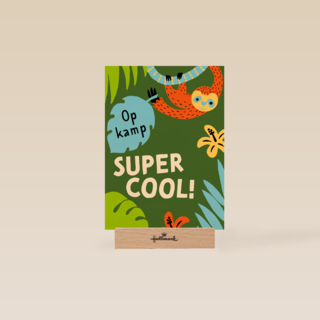 Op kamp super cool