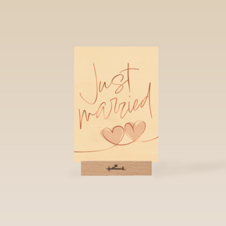 Love Story Just Married