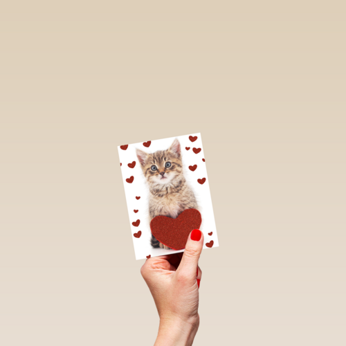 valentijnskaart klassiek poes met hart