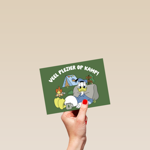 Donald Duck Veel plezier op kamp groen