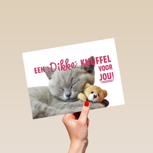 een dikke kattenknuffel voor jou