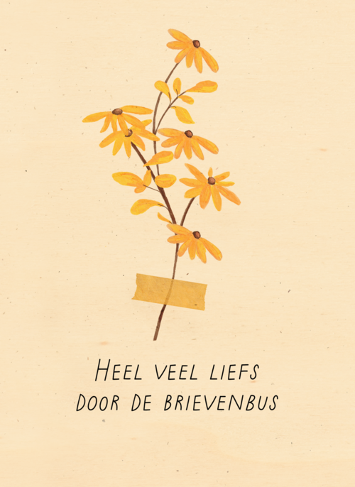 Bloemen heel veel liefs door de brievenbus