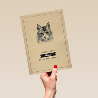 condoleance huisdier jullie lieve kat is er niet meer