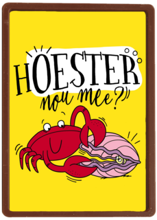 beterschapskaart hoester nou mee