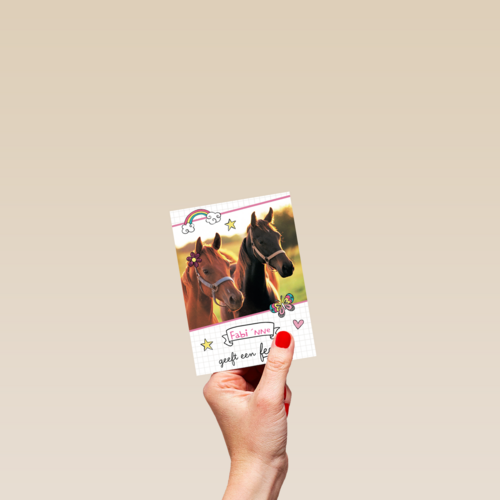 verjaardagsfeest meisje paarden zij geeft een feestje