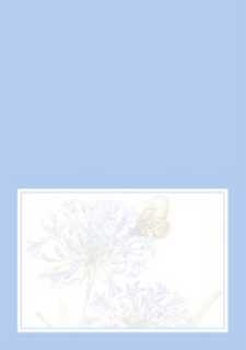 paarse bloemen met vlinder