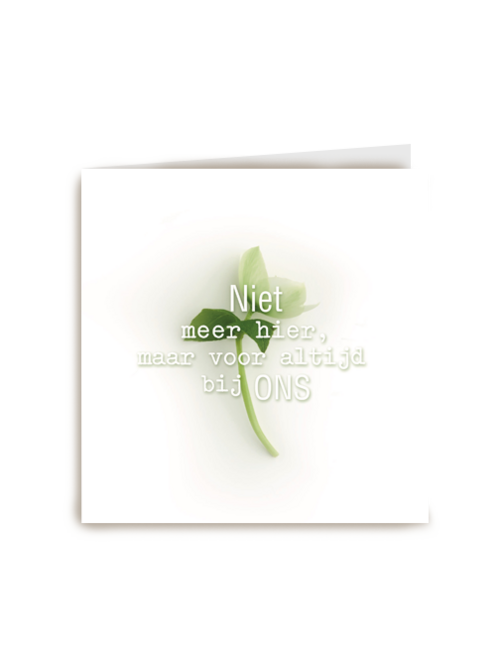 botanical kaart niet meer hier maar voor altijd bij ons