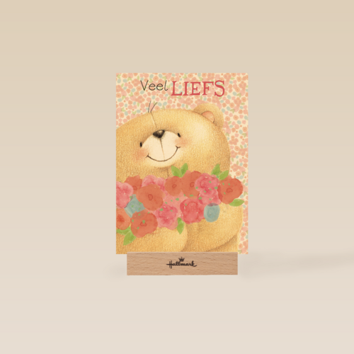 moederdag lief veel liefs forever friends beer
