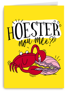 beterschapskaart hoester nou mee