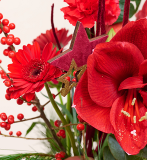 Boeket Bloemen Rouge Noelle