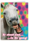 paard gang carnaval