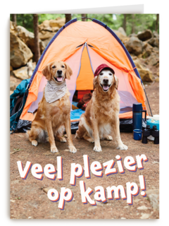 Op kamp kaart 2 honden bij tent