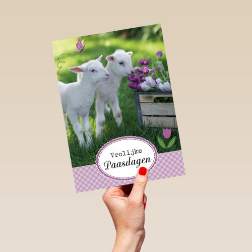 lammetje bloem pasen