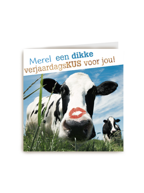 dikke verjaardagskus van een koe