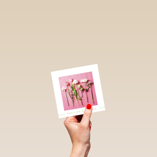 lente bloemen op roze achtergrond