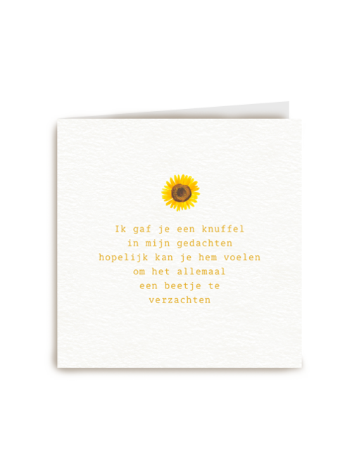 Kaart Hallmark | Moeilijke Momenten | Ik Gaf Je Een Knuffel In Mijn Gedachten