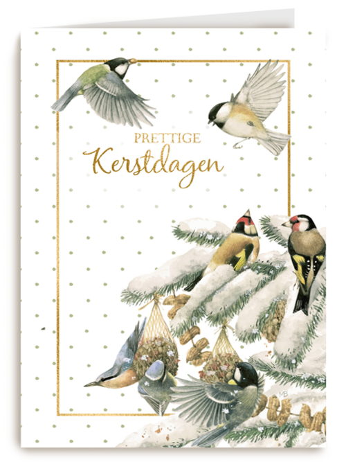 Kerstkaart klassiek Marjolein Bastin Kerst putter en koolmees