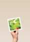 flash groen blad
