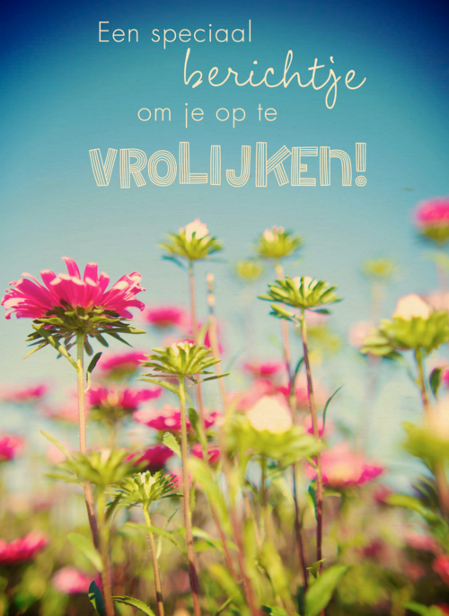 Houten Kaart Beterschapskaarten | Houten Kaart Hallmark | Beterschapskaarten | Bloemenveld Om Je Op Te Vrolijken