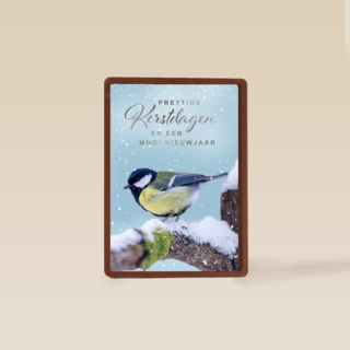 Kerstkaart vogel op tak winter