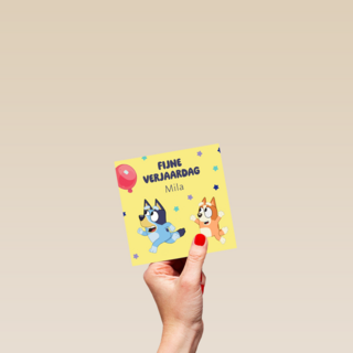 Bluey Bingo Fijne Verjaardag