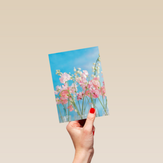 bloemen lucht