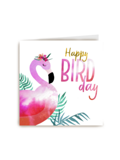 happy bird day van een pelikaan