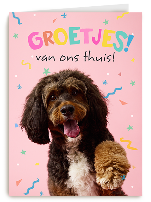 Op Kamp groetjes van thuis hond roze