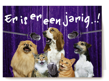 Chromazone Er is er een jarig dieren