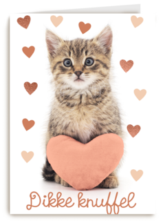 Liefde kaart kat met hart en dikke knuffel