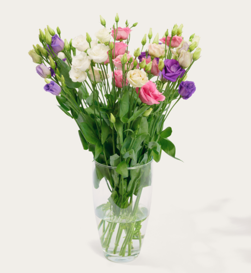 Boeket Bloemen Koninklijke Pracht
