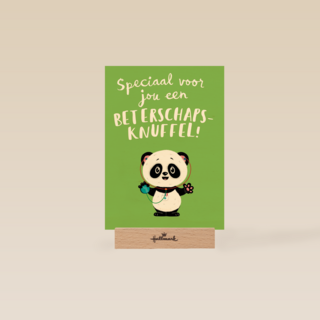 beterschapsknuffel van een panda