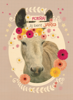 prodo dieren ezel jij bent jarig