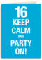 16 keep calm and party n