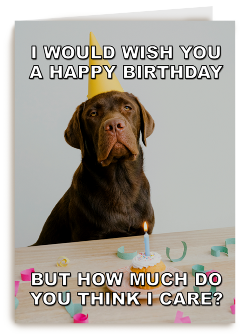 Verjaardagskaart Hallmark | Verjaardagskaart Met Hond Met Feesthoed