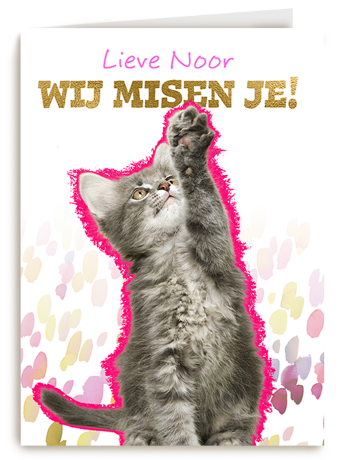 Lieve we missen je kat Op Kamp