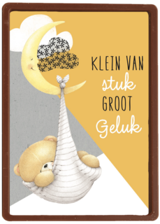 forever friends klein van stuk groot geluk