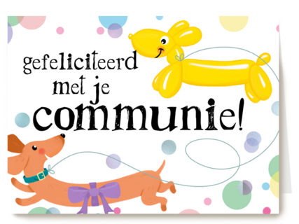 ballondier gefeliciteerd met je communie