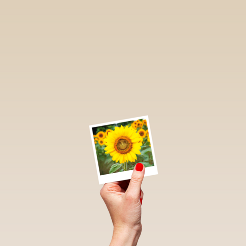 Beterschapskaart zonnebloem met smiley Polaroid