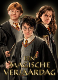 Harry Potter een magische verjaardag