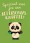 beterschapsknuffel van een panda