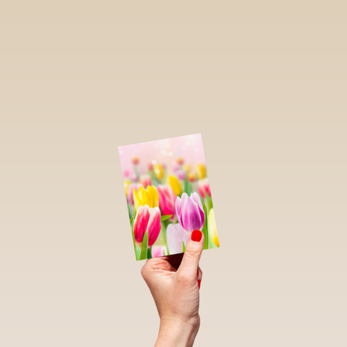 lente kaart tulpen voorjaar
