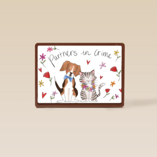 Matia Partners in crime