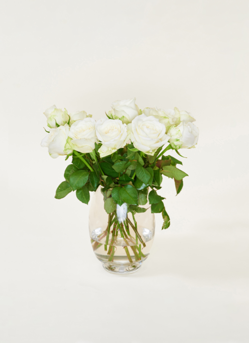 Brievenbusbloemen Rozen Wit | Hallmark Cadeau Bloemen En Planten |