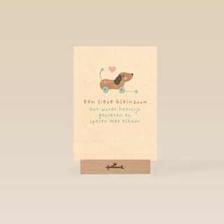 zwanger kleinkind een lieve kleinzoon